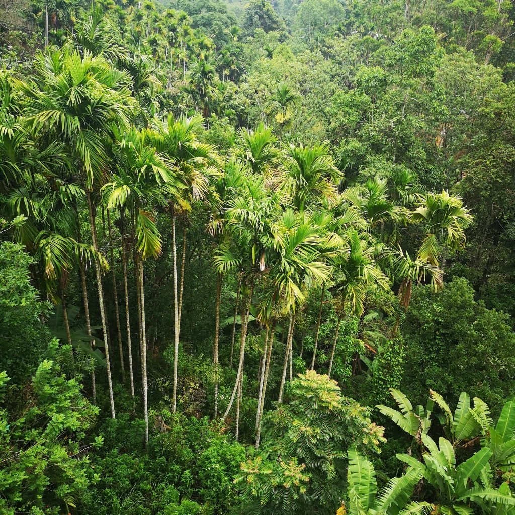 SRI LANKA