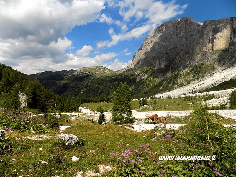 pale di san martino