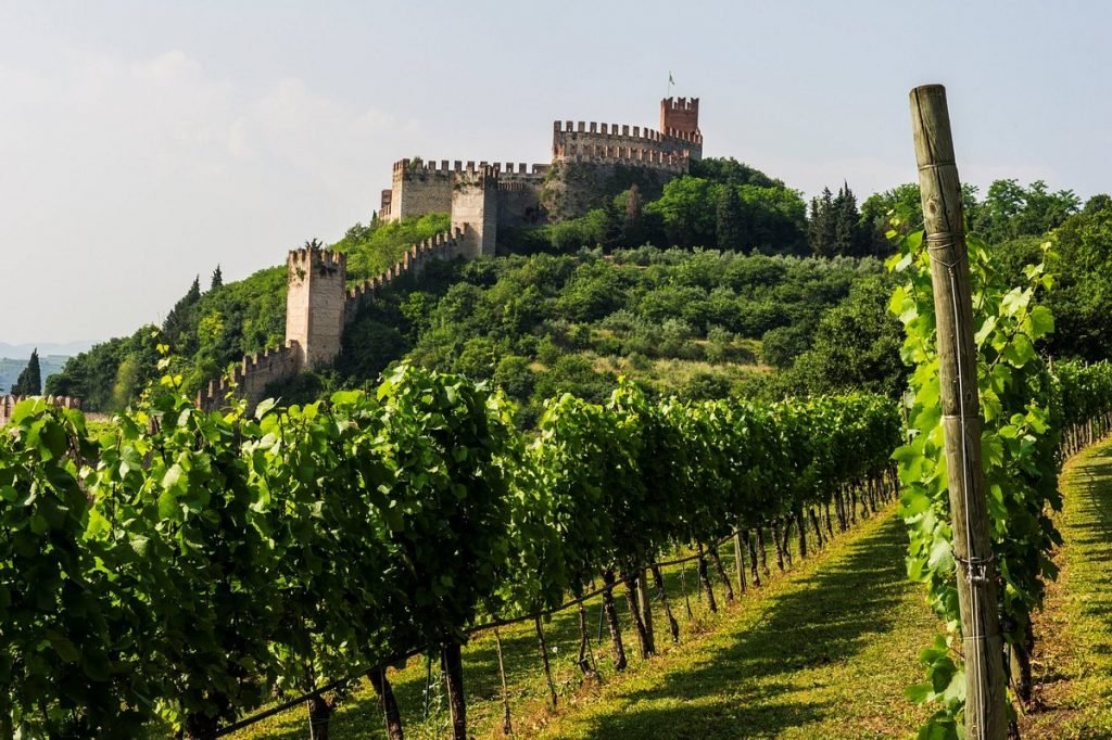 Soave